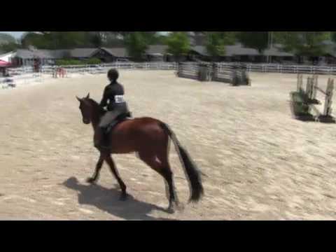 Video of CRIMEA RIVER ridden by VICTORIA ORLIN from ShowNet!