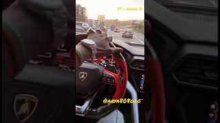 Chief Keef driving his Lamborghini listening to 6ackend #shorts