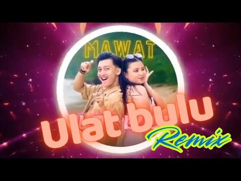 ULAT BULU REMIX | MAWAT