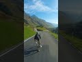 Road Bikes Are Beautiful