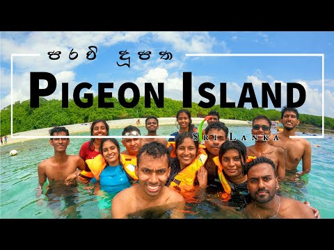 Pigeon Island, Trincomalee | Snorkeling | Sri Lanka | Travel Vlog #22 🇱🇰