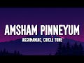 Aksomaniac Circle Tone Amsham Pinneyum Lyrics