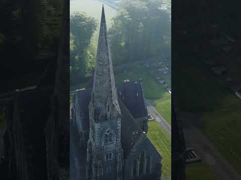 "Explore Castlewellan: Forest Park, Peace Maze & Arboretum Adventure"