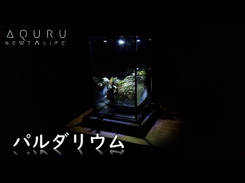 ビブリスについて詳しく解説