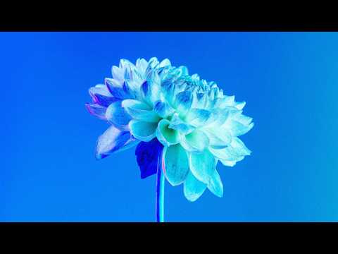 Twoxi x @poletaymusic  - 24 (Official Lyrics Video)