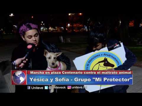 Marcha en contra del maltrato animal