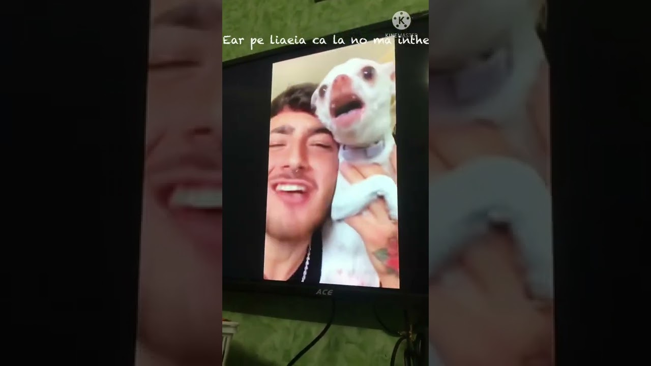 Niki dog angry dog font chalkduster