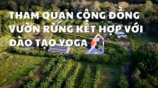 Một chuyến tham quan tuyệt với đến cộng đồng những ngôi nhà nhỏ làm nông nghiệp bền vững