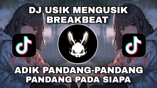 Download lagu DJ USIK MENGUSIK BREAKBEAT - ADIK PANDANG -PANDANG PANDANG PADA SIAPA VIRAL TIKTOK mp3