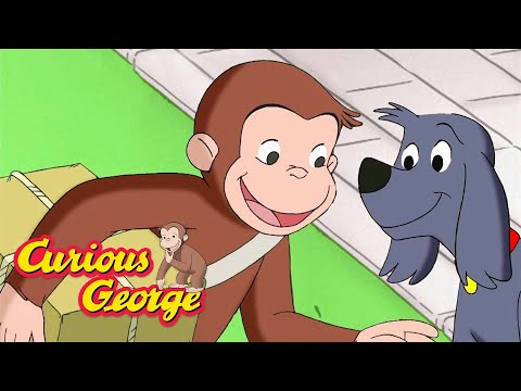 What's In the Box!? 🐵 Curious George 🐵 Kids Cartoon 🐵 Kids Movies