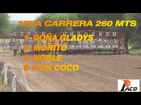 MONITO HIPODROMO PANGARE 20 02 2022