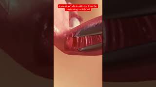 Download lagu Pap Test 💖😍#shorts #paptest #Healthcare #EarlyDetection mp3