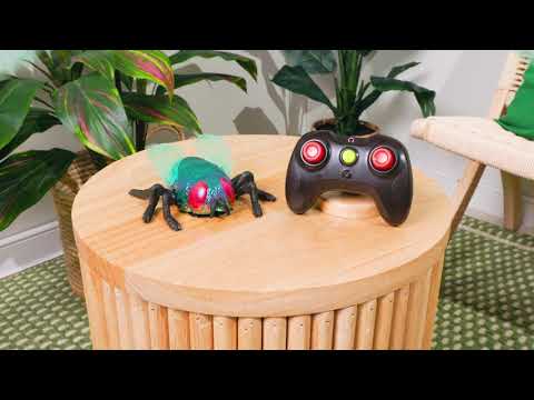 R/C Climbing Fly | Terra by Battat