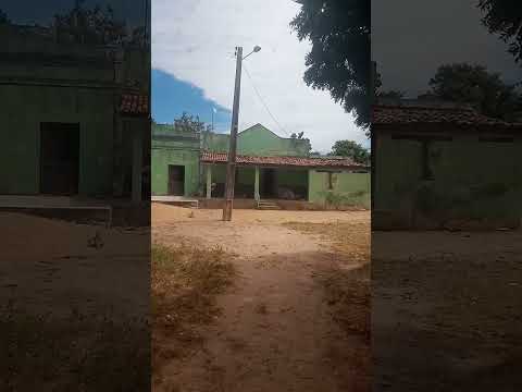 Visita ao Sítio Bela Vista: Natureza e tranquilidade no interior de Apodi.
