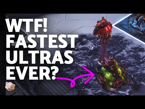 Fastest Ultra Nydus Ever: Has this guy created a new dumb build? Smooth Brain Auditions Season 2 Ep1