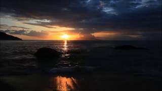 CAPTAIN BEEFHEART -- THIS IS THE DAY