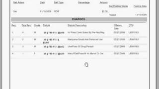How to read a docket sheet