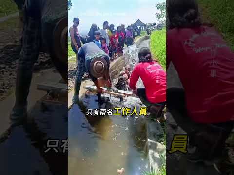 一場暴雨，誕生了一座滑水道🌊