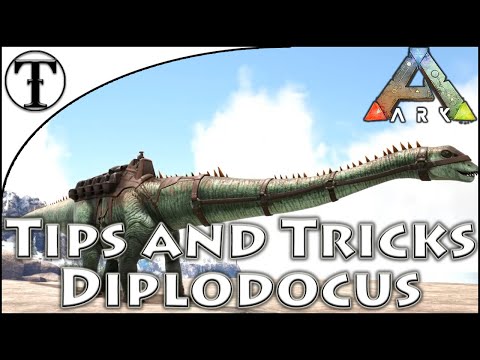 Fast Diplodocus Taming Guide :: Ark : Survival Evolved Tips and Tricks