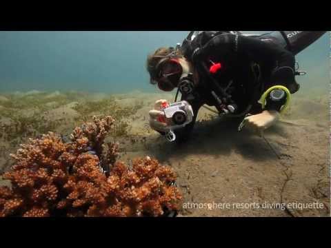 Underwater Etiquette