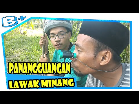 lawak-minang-panangguangan-kisah-jika-tidak-bekerja-komedi-minang-lucu