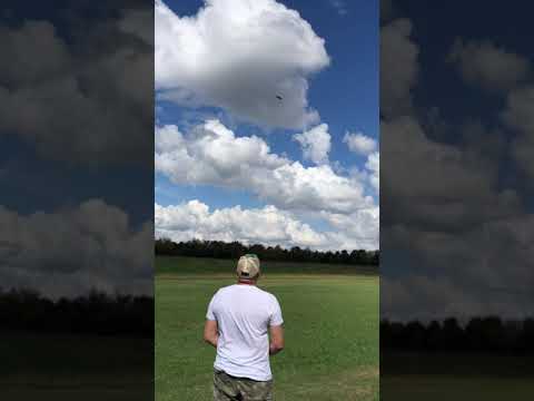 Seagull models savage shock cub rcgf 40cc stinger twin from www.legendhobby.com horsing around