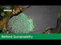 Absorbing Risk: How cities are turning into flood water sponges | Rethink Sustainability
