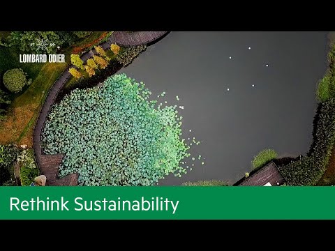 Paid Post - Absorbing Risk: How cities are turning into flood water sponges | Rethink Sustainability