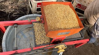 Part 2 Paano Magpunla ng Palay