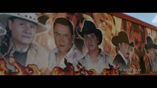 Hoy empieza mi tristeza Caballo Dorado