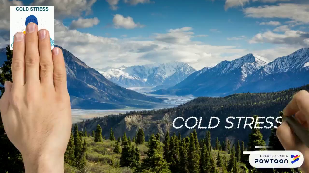 CHAPTER 6 : ERGONOMICS