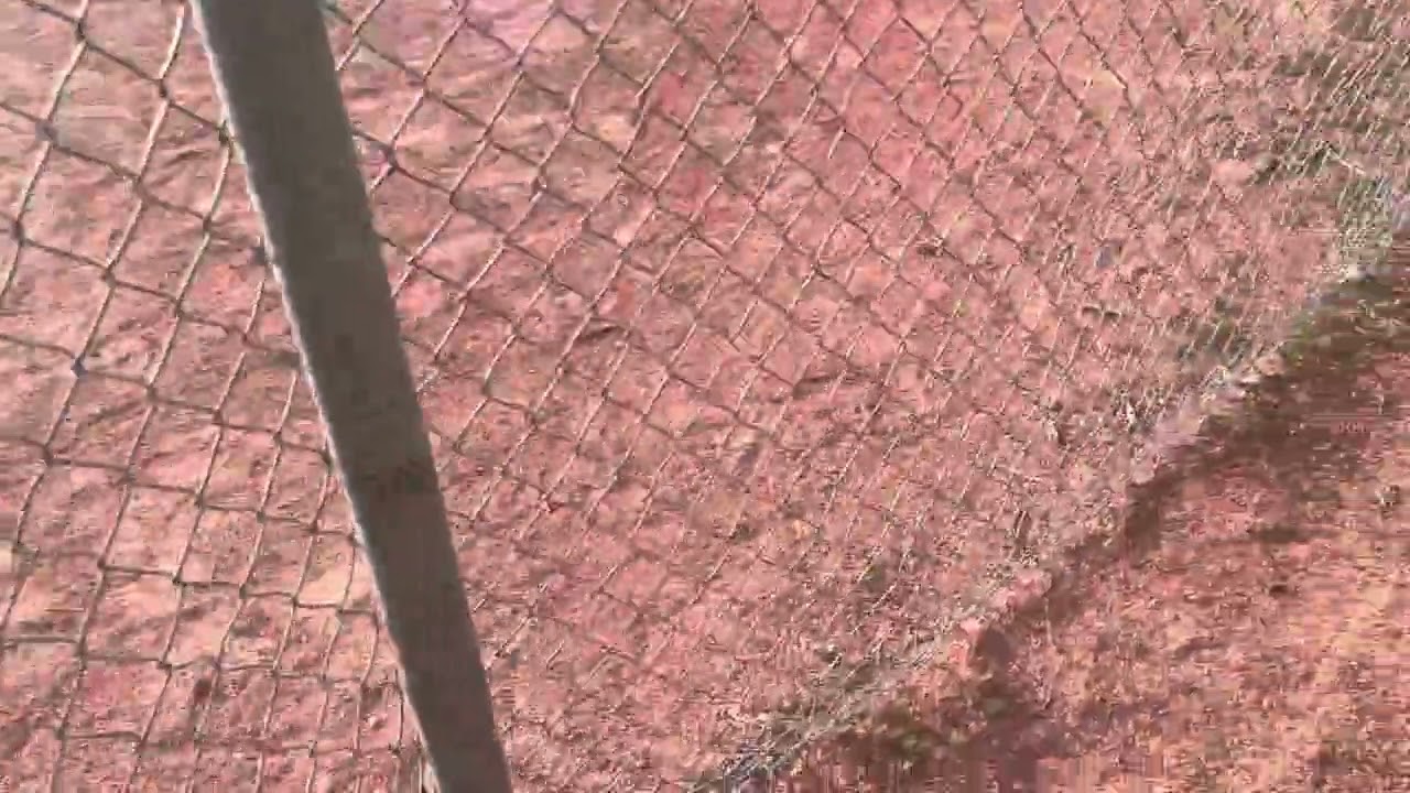 Bad News About The Whole Fandom Situation