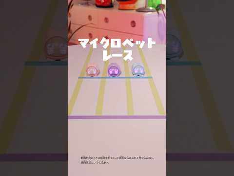 どのコが勝つか予想してみてね✨　#マイクロペット #micropets #デジタル #かわいい #おもちゃ