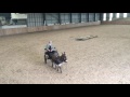 Peter the Donkey Walks the Plank