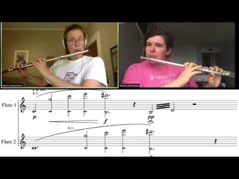 defender of blackbirds - Score Video