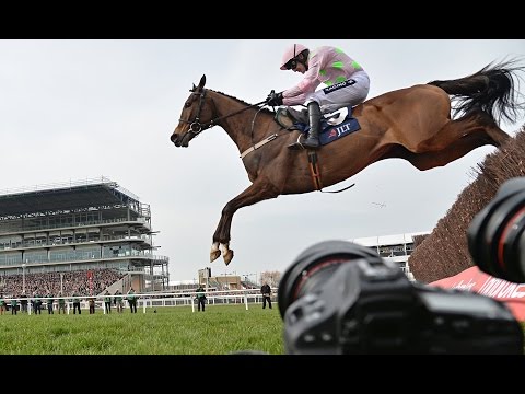Vautour - Road to the 2017 Cheltenham Gold Cup