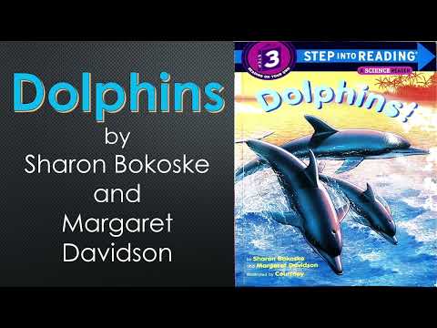 "Dolphins" by Sharon Bokoske, Margaret Davidson