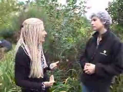 Fall Pruning Tips #2 - YouTube