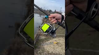 🛎️ #carpfishing #casting #surfcasting 2