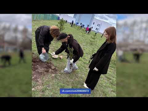 2026 05 06 Новости глав 12+