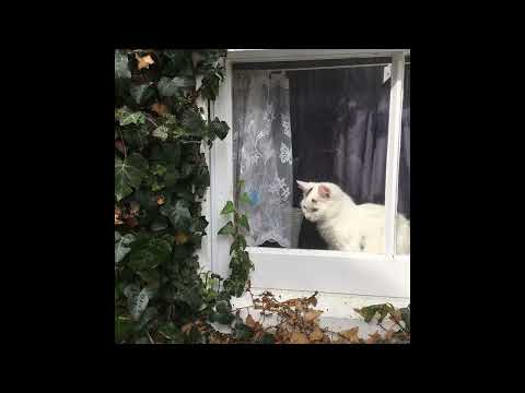 ✧ free ✧ glaive x ericdoa x re6ce indie pop type beat - mess