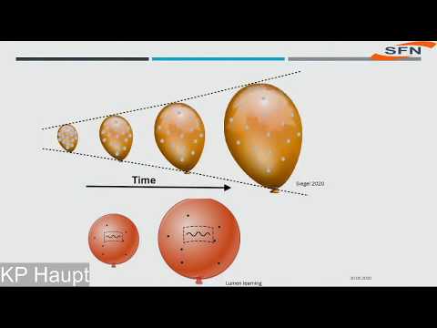 Live Vortrag über Kosmologie von KP Haupt