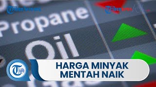 Setelah Arab Saudi Menyangkal Laporan Kenaikan Produksi OPEC+, Harga Minyak Naik