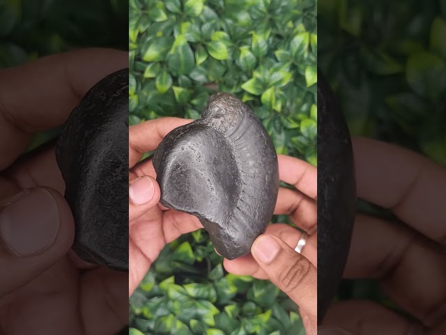Parshuram Shaligram Shila Sixth Avtar of Lord Vishnu video