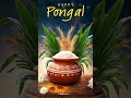 Pongal Status Happy Pongal Status Pongal Whatsapp Status Shorts Pongal Song Status