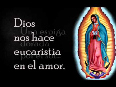 una espiga dorada por el sol - Musica Catolica