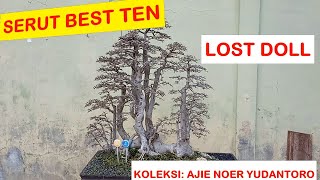 Download lagu #73 SERUT BEST TEN. LOST DOLL. AJIE NOER YUDANTORO COLLECTION mp3 Download lagu #73 SERUT BEST TEN. LOST DOLL. AJIE NOER YUDANTORO COLLECTION mp3