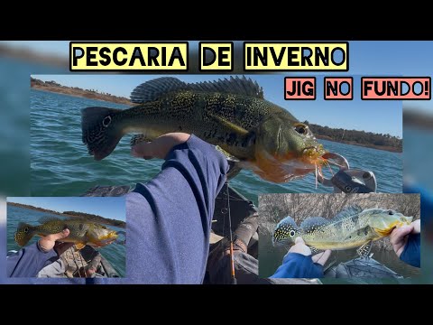 PESCARIA DE INVERNO: Descobri Onde os Tucunarés Grandes Estavam! (Jig no Fundo)