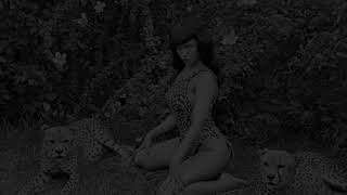 Leopards - Machine Gun Fellatio