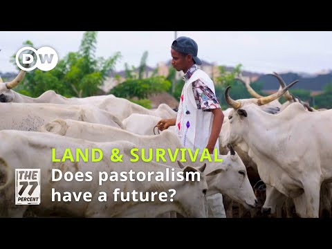 The struggle for land: The future of pastoralism in Africa | The 77 Percent Full Show